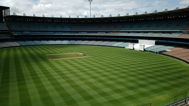 衡职业发展 衡职业发展