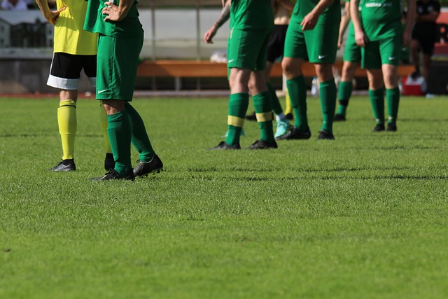 日本队利用 日本队利用