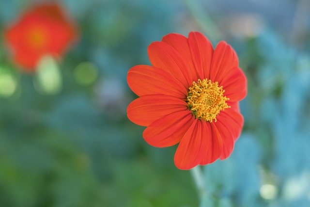 提升了球隊 提升了球隊