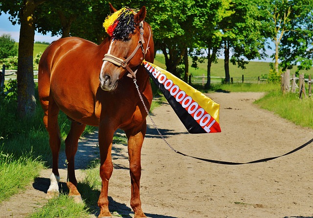 中脱颖而出 中脱颖而出