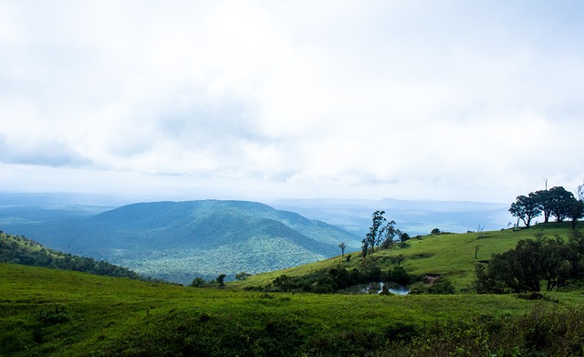 级亚洲杯正 级亚洲杯正