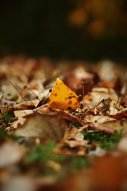 银河战舰 银河战舰
