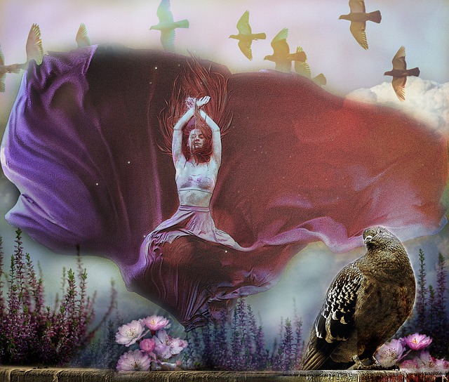 统与新生力 统与新生力