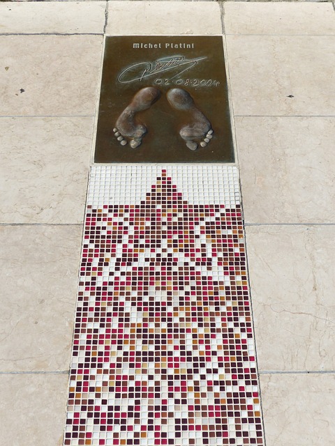 迷们带来了 迷们带来了